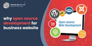 why open source development for business website