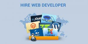How To Choose The Best Web Developer