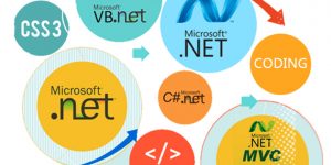 why-to-hire-dot-net-developer-from-offshore-web-development-company