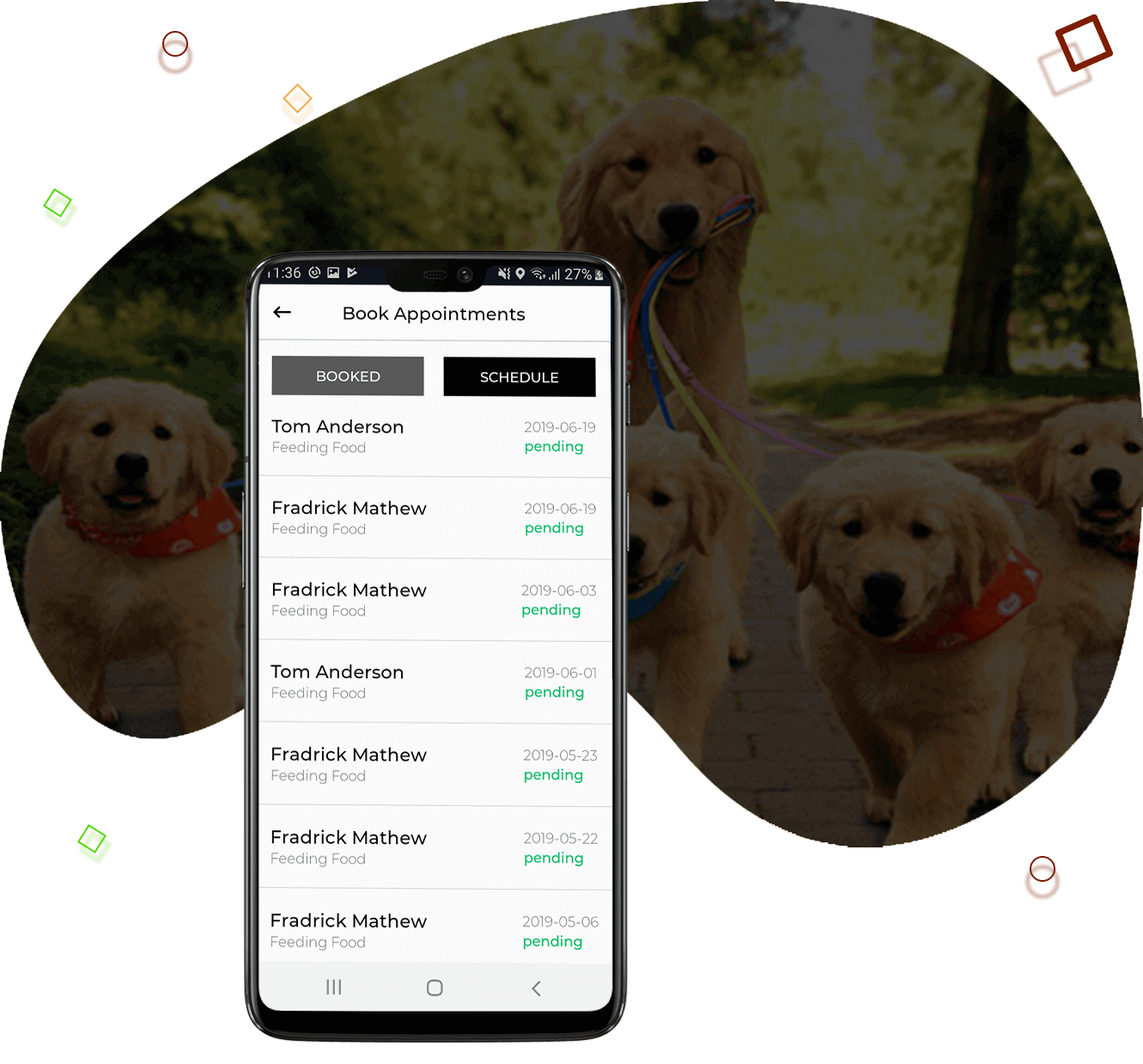 Dog Walkers in Uber for Dog Walking App