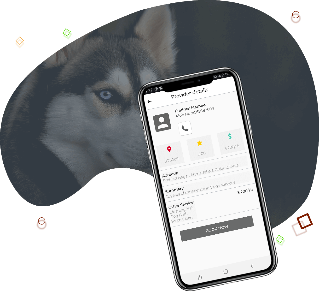 Using On-Demand Technologies in uber for dog walking