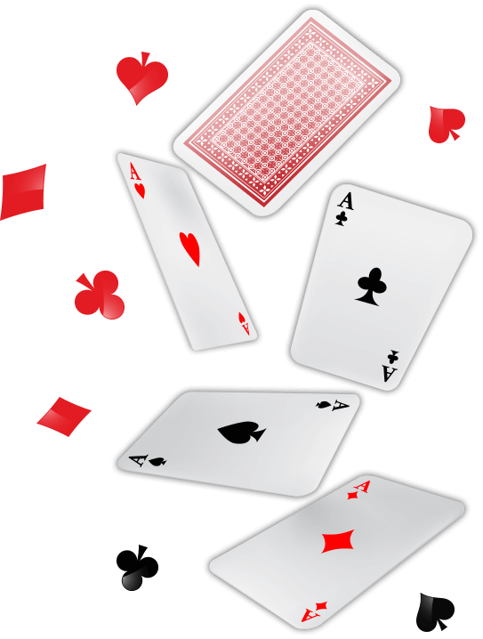 Software FГјr Online Casino