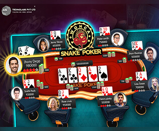snake poker banner portfolio slider