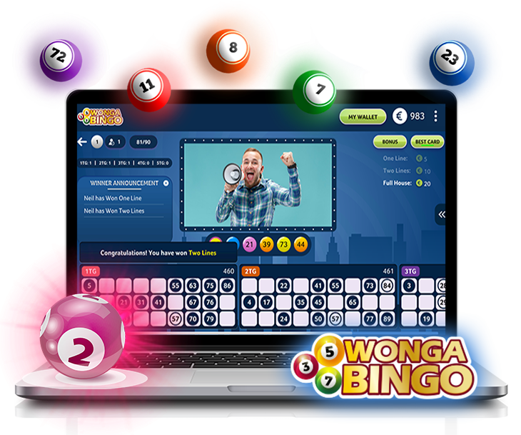 bingo software