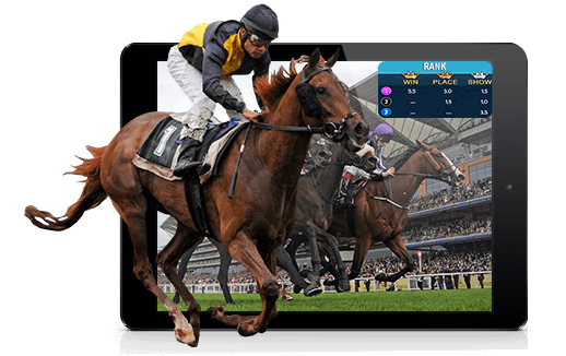 Handicapping Software For Horse Racing