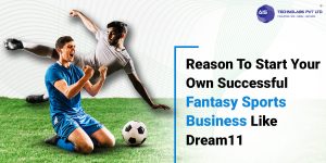 Reason To Start Your Own Successful Fantasy Sports Business Like Dream11