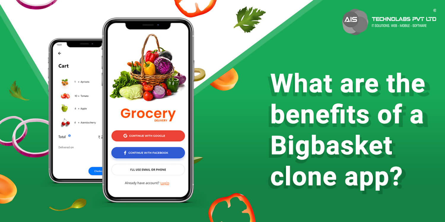 What are the benefits of a Bigbasket clone app?