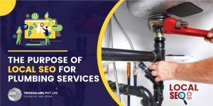 The Purpose of Local SEO for Plumbing Services