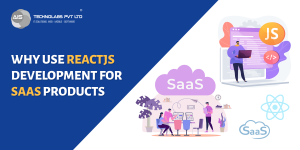 Why Use ReactJS Development For SaaS Products